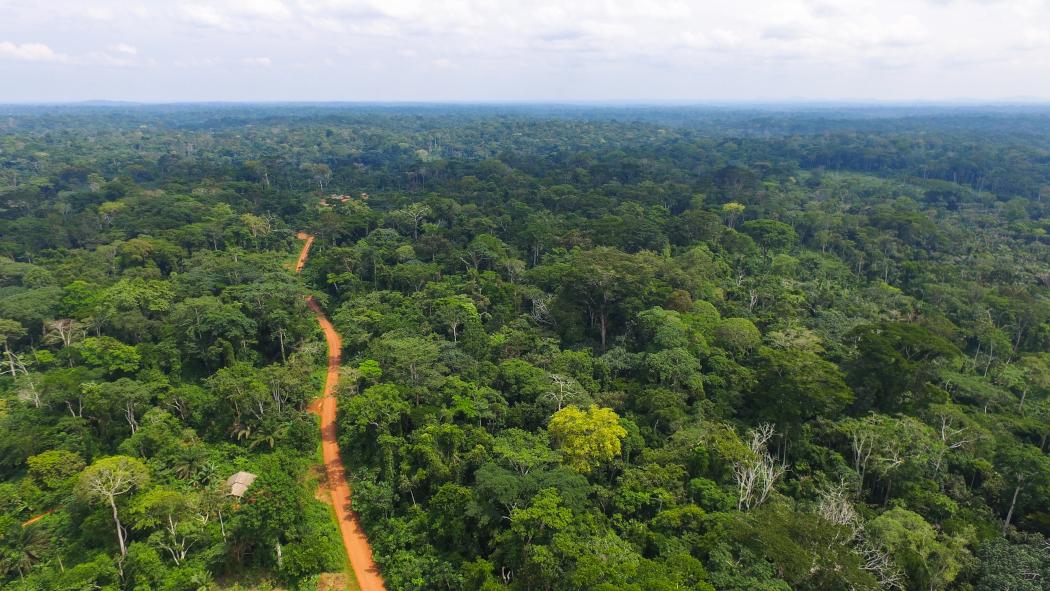 Aerial view of the  Rainforest - CIFOR Knowledge